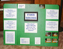 Science project backboard